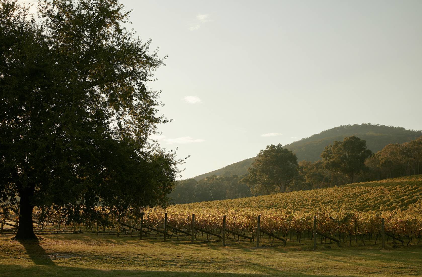 [Land for Sale] Hamlet Estate, Diggers Rest OpenLot